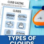 Types of Clouds Worksheets