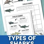 Types of Sharks Printables