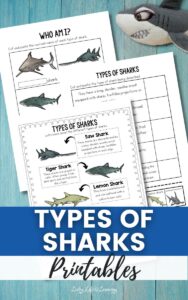 Types of Sharks Printables