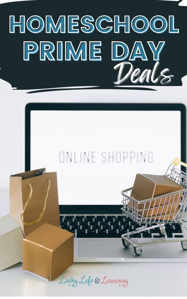 online shopping on a laptop with boxes and shopping bags to show homeschool prime day deals