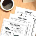 Types of Sharks Printables