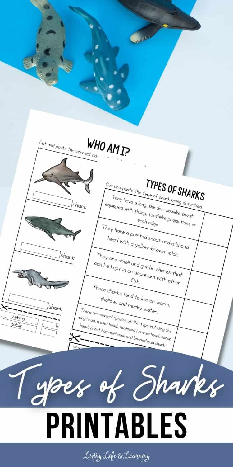 Types of Sharks Printables