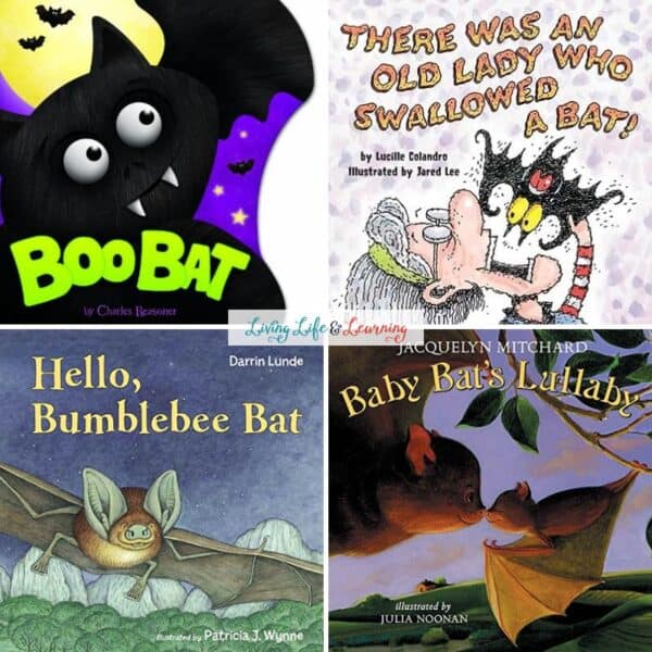 Books About Bats for Toddlers