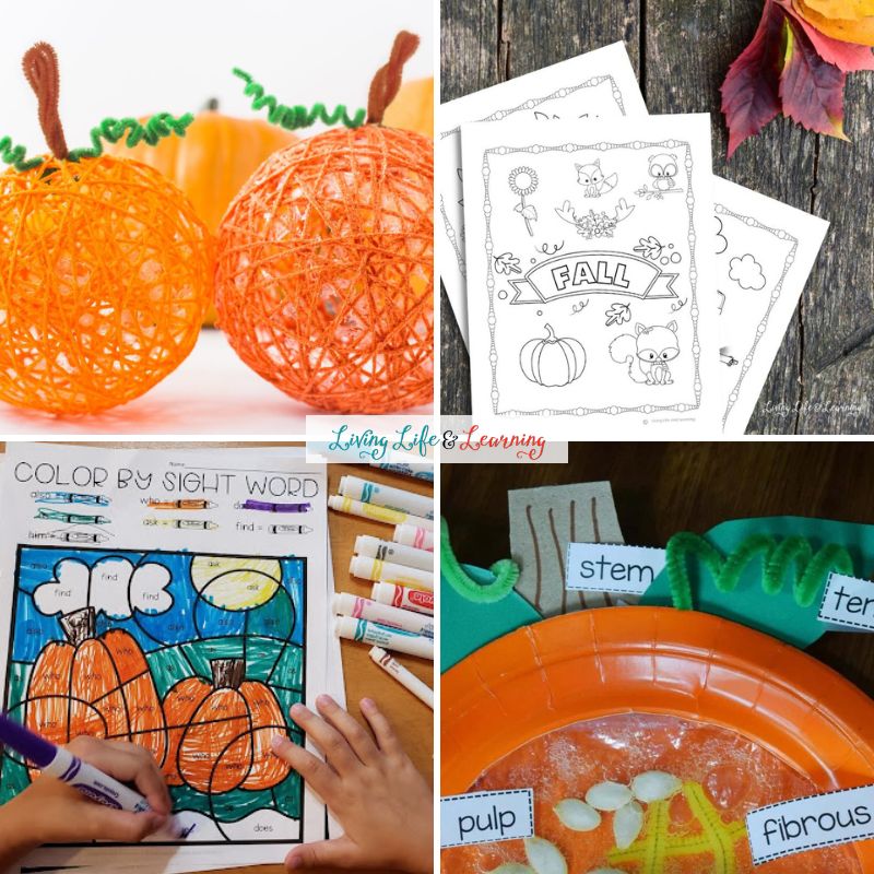 Fall Activities for First Grade