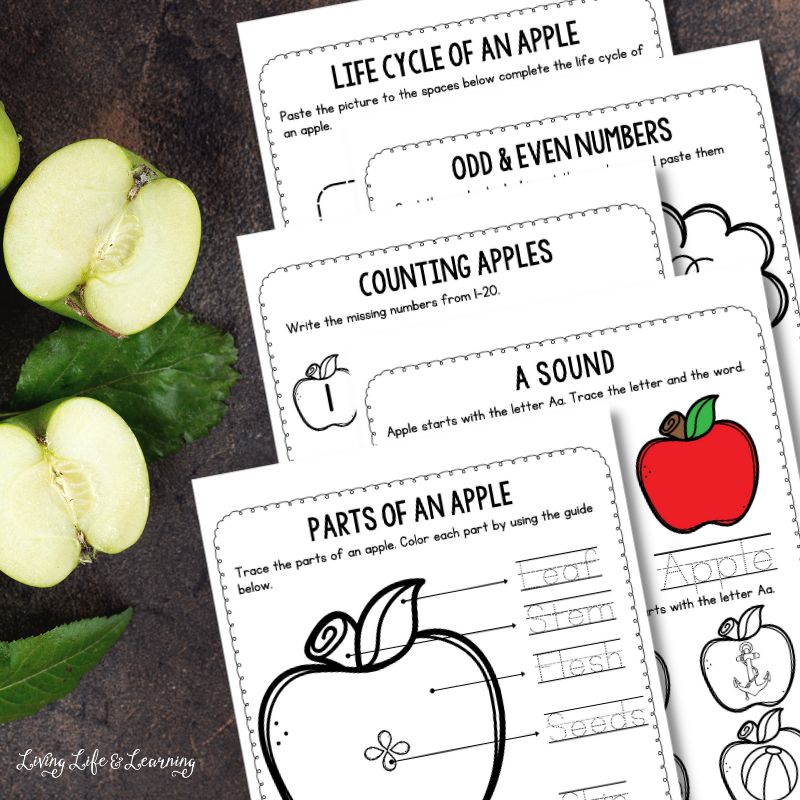 Apple Worksheets for Kindergarten