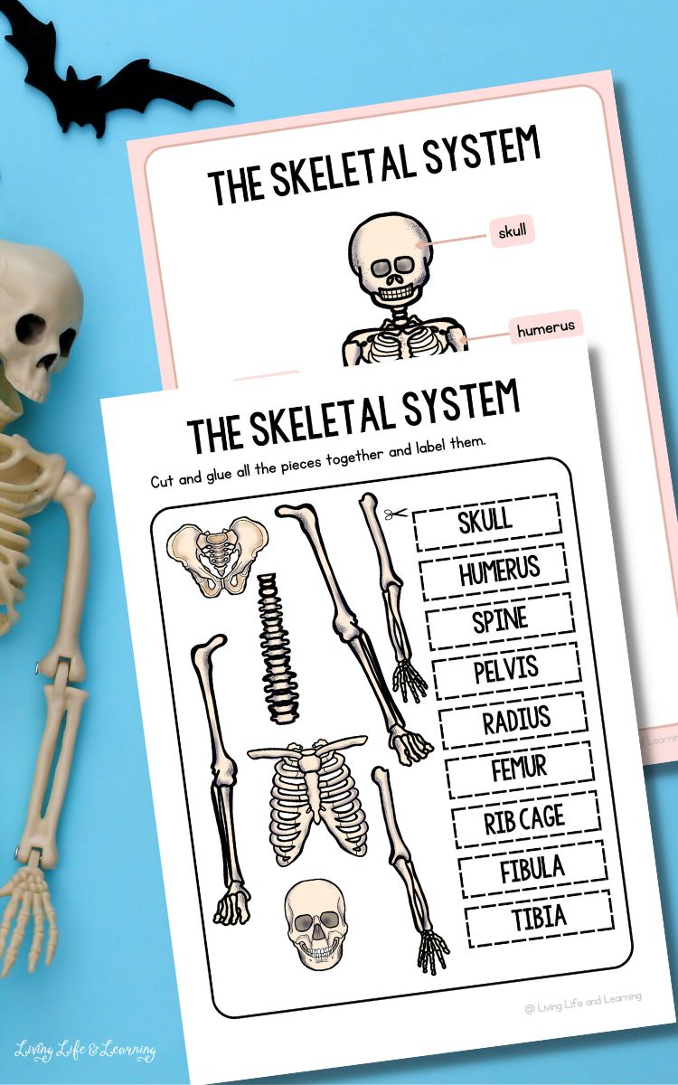 Build a Skeleton Printable