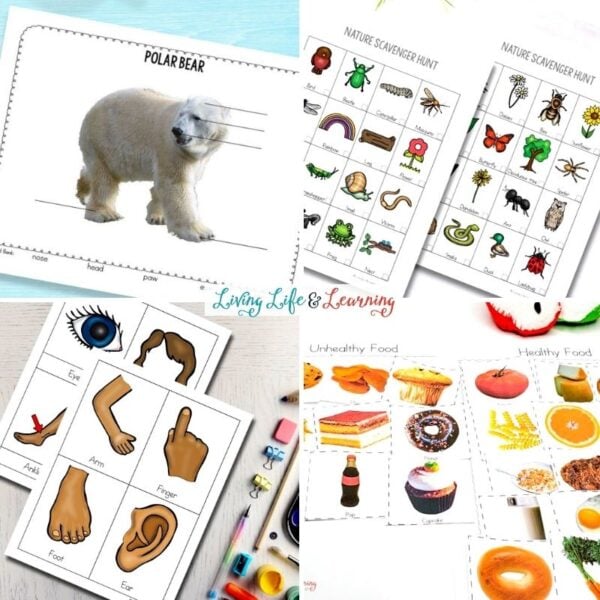 Science Worksheets for Preschoolers