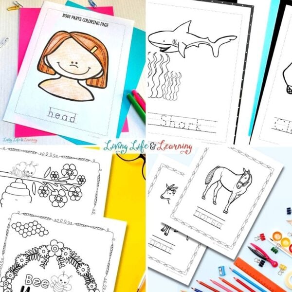 Science Worksheets for Preschoolers