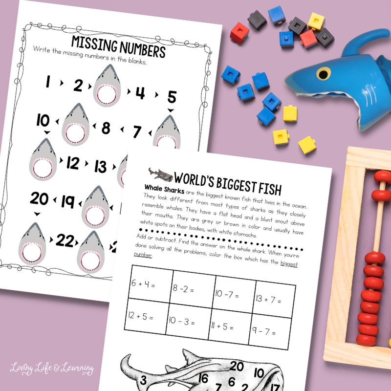 Shark Math Worksheets for Kindergarten