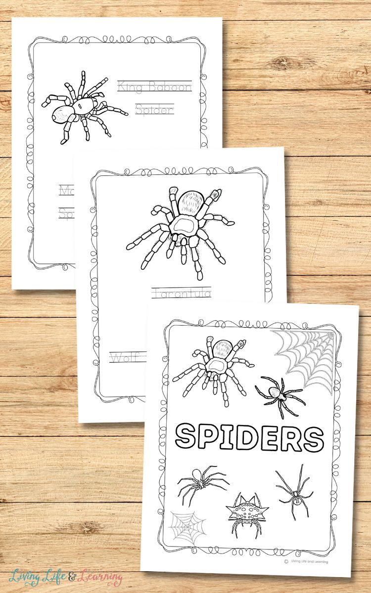 Three Spider Coloring Pages on a table