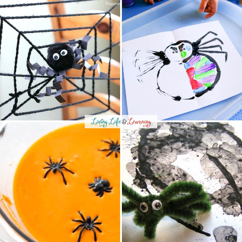 Spider Science Activities for Preschoolers