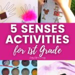 5 Senses Activities for 1st Grade