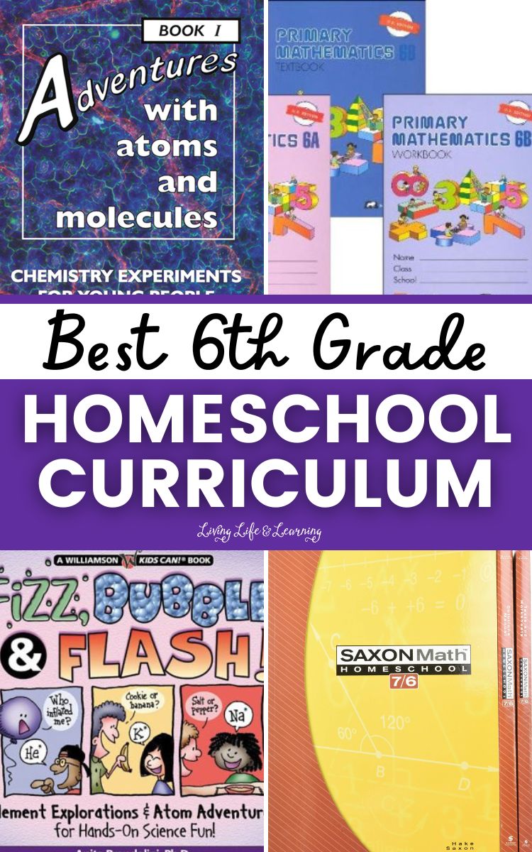 Best 6th Grade Homeschool Curriculum