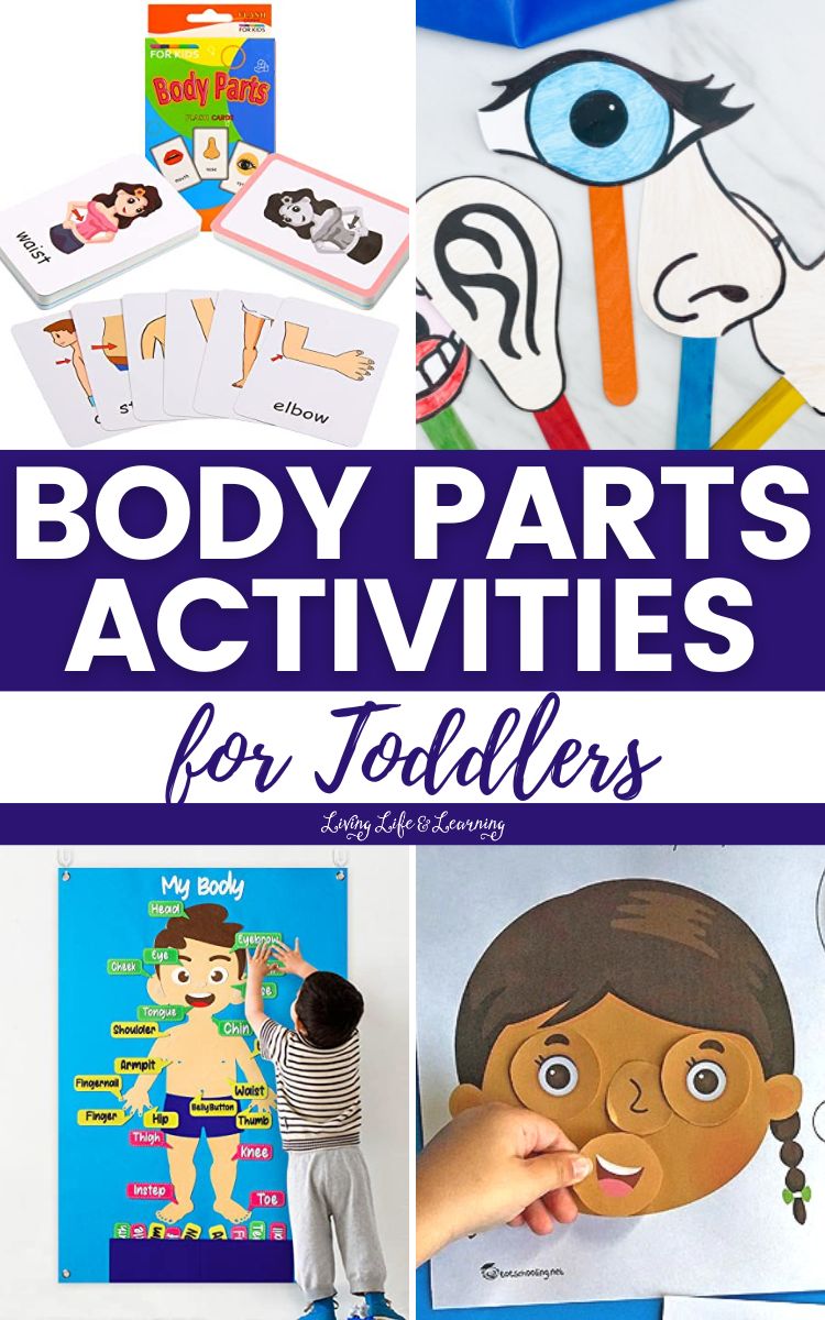 A collage of Body Parts Activities for Toddlers