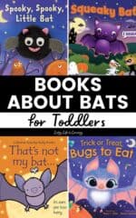 Books About Bats for Toddlers