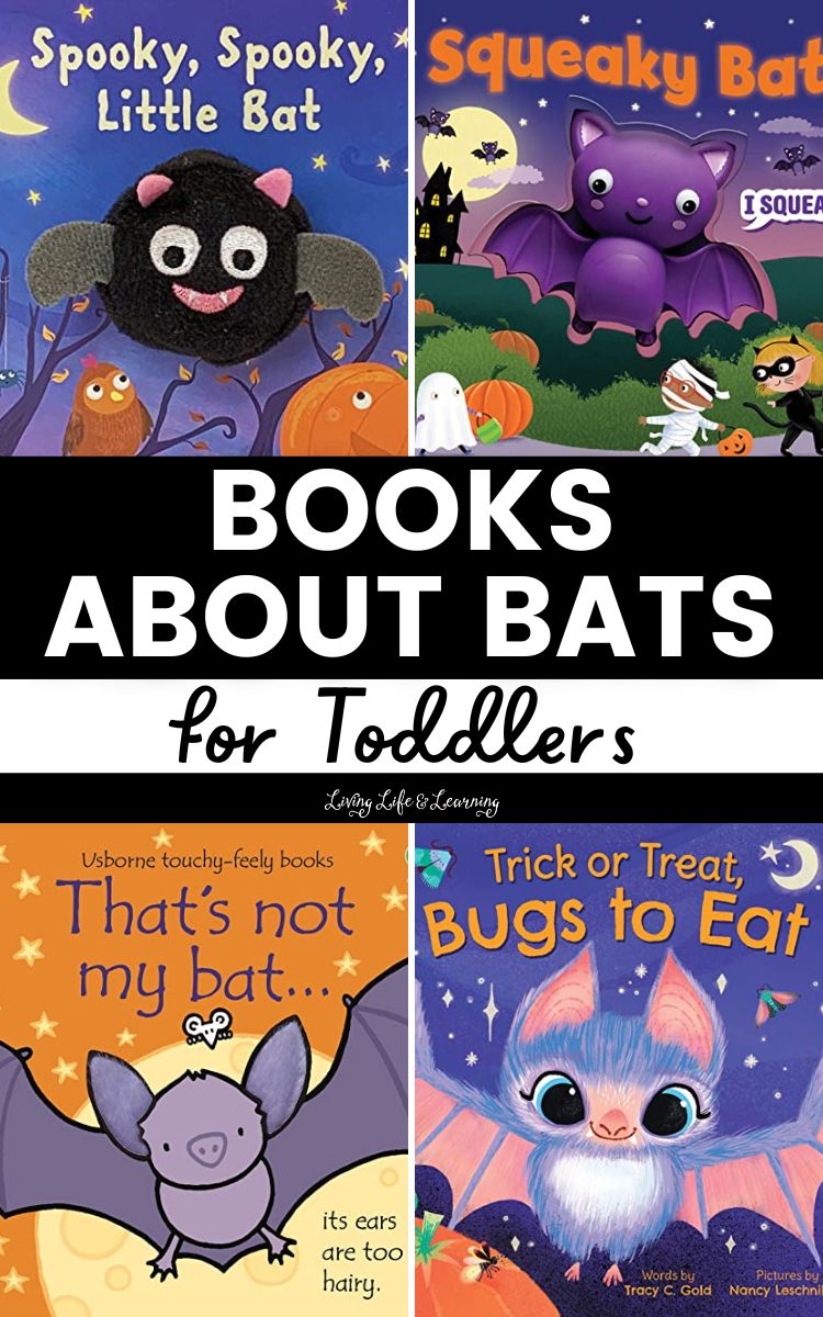 Books About Bats for Toddlers