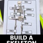 Build a Skeleton Printable