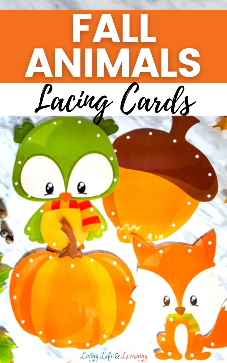 Four Fall Animals Lacing Cards on a table