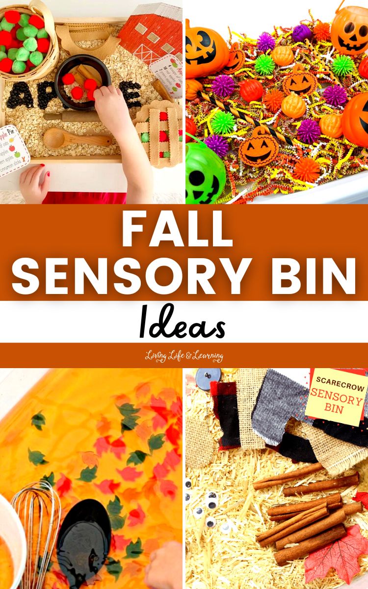 Fall Sensory Bin Ideas