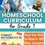 Homeschool Curriculum for Grade 1