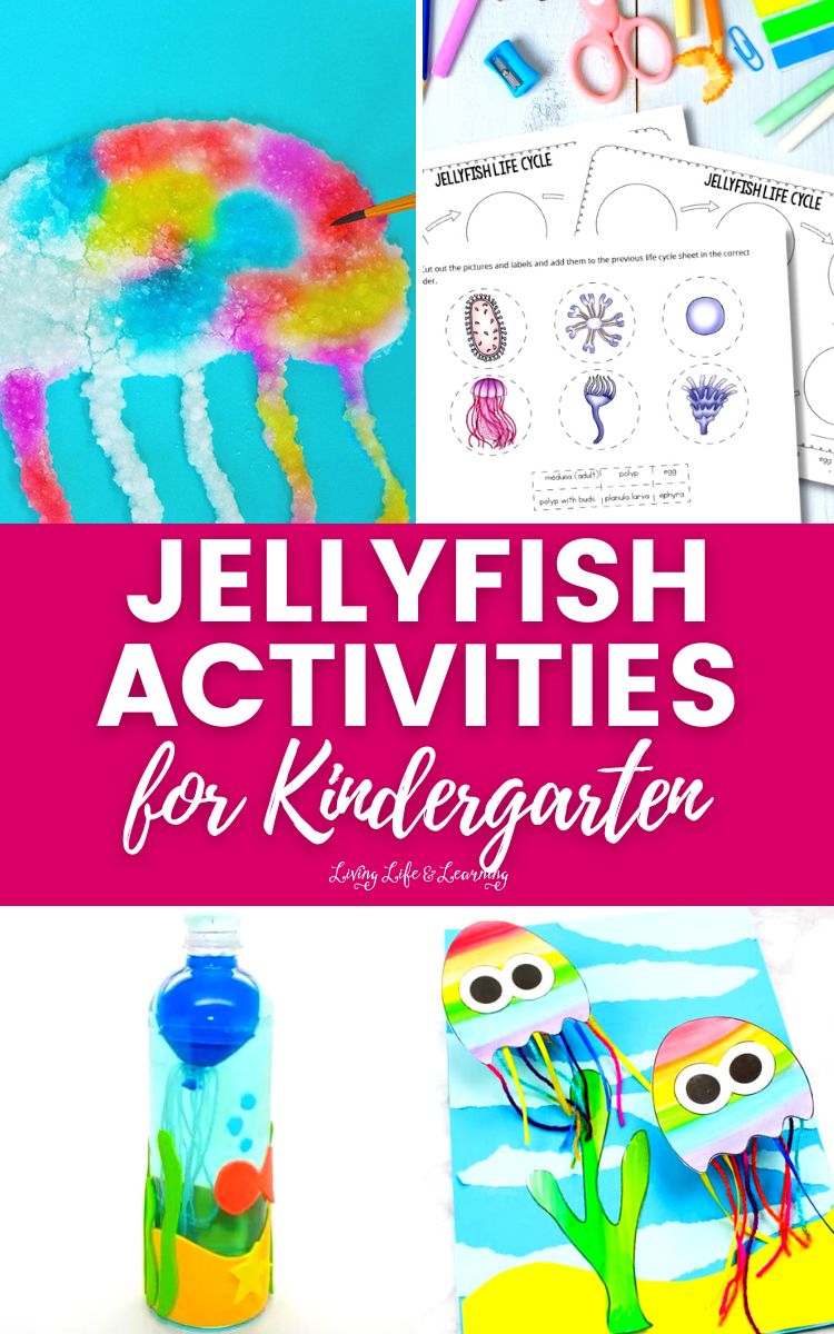 Jellyfish Activities for Kindergarten