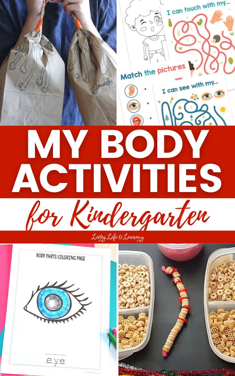 My Body Activities for Kindergarten