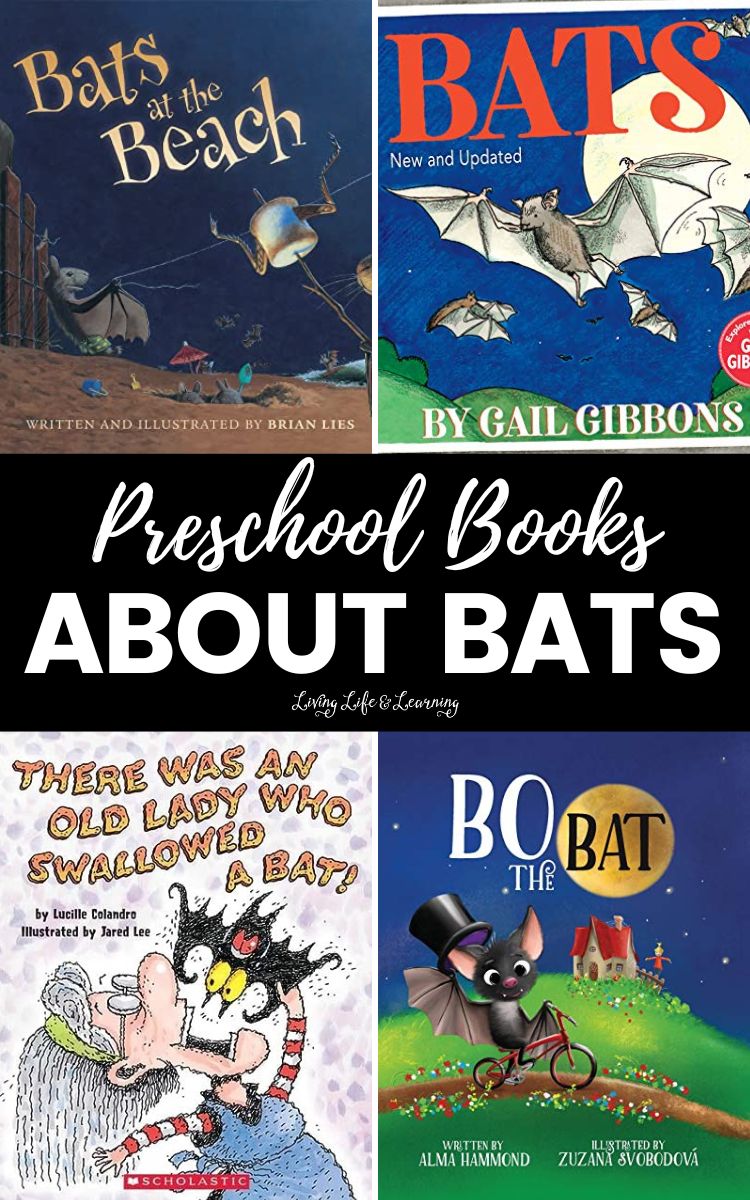 Preschool Books About Bats