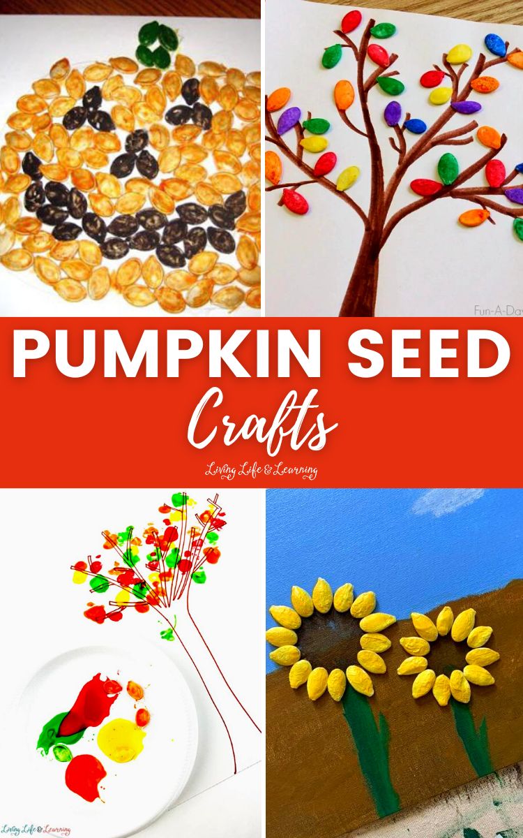Pumpkin Seed Crafts