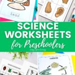 Science Worksheets for Preschoolers
