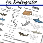 Shark Worksheets for Kindergarten