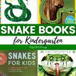 Snake Books for Kindergarten