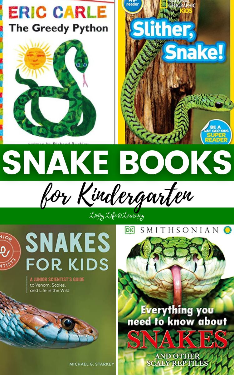 Snake Books for Kindergarten