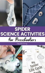 Spider Science Activities for Preschoolers