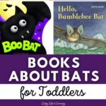 Books About Bats for Toddlers