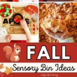 Fall Sensory Bin Ideas
