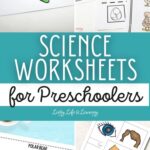 Science Worksheets for Preschoolers