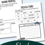 Shark Identification Worksheets