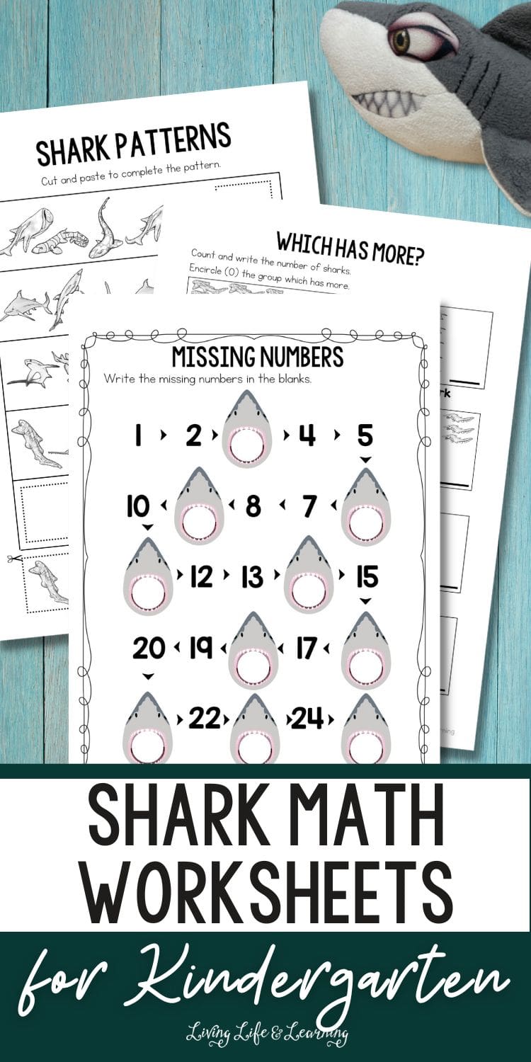Shark Math Worksheets For Kindergarten