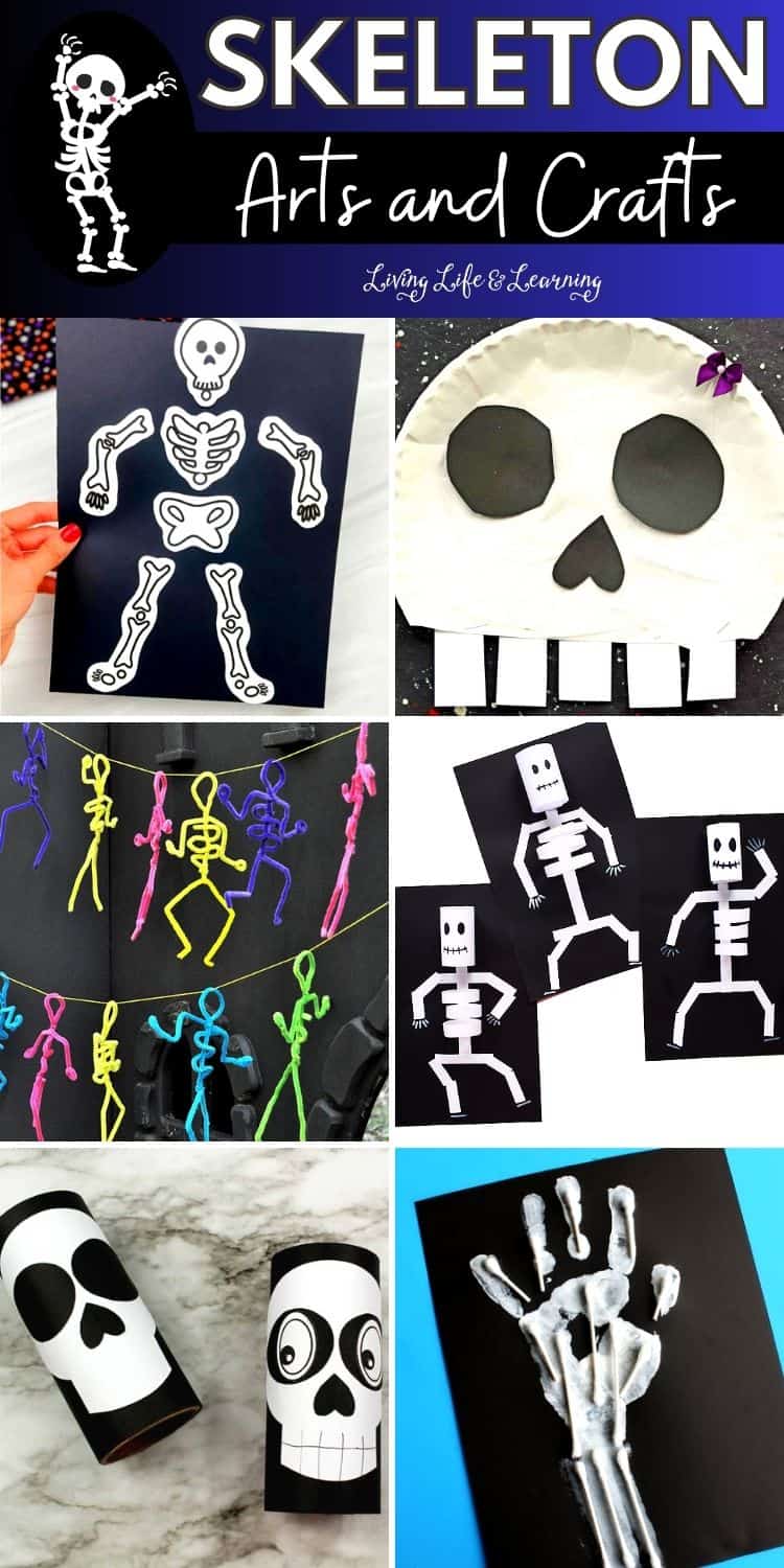Skeleton Arts And Crafts