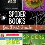 Spider Books for First Grade