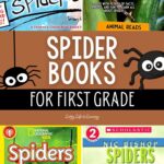 Spider Books for First Grade
