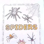 Spider Coloring Page on a table