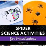 Spider Science Activities for Preschoolers