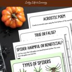 Spider Worksheets for Elementary Students