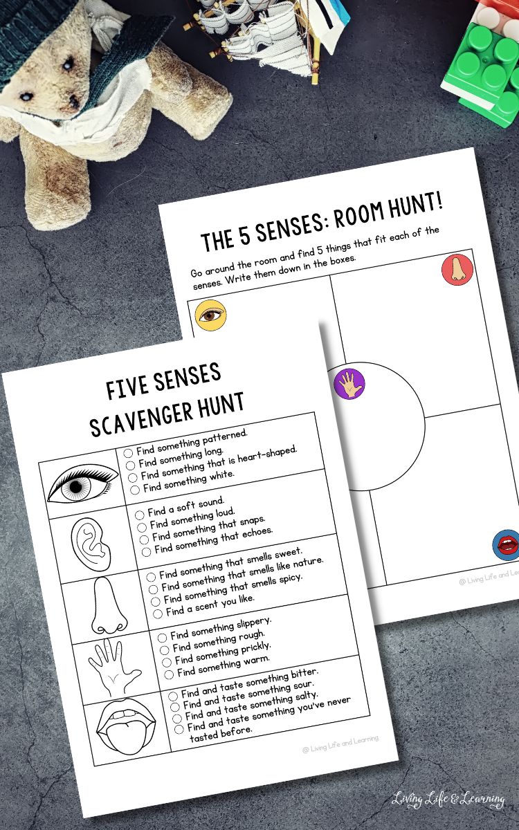 5 Senses Scavenger Hunt Printable