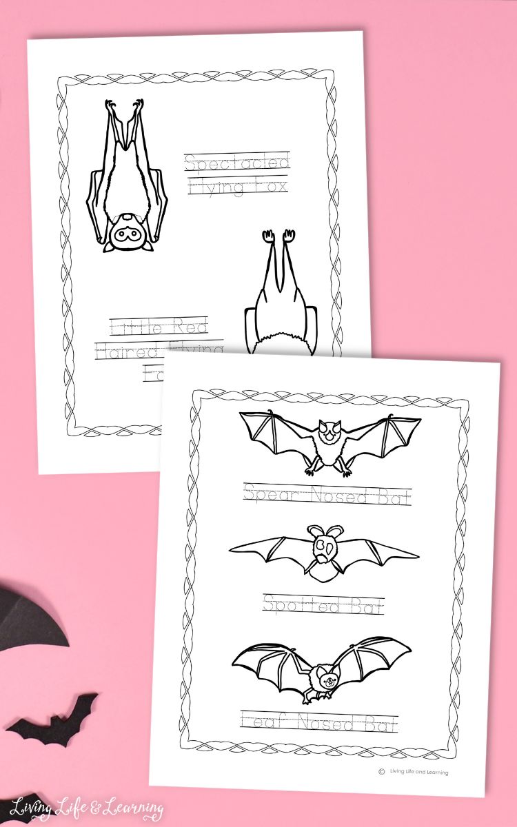 Two Bat Coloring Pages on a table