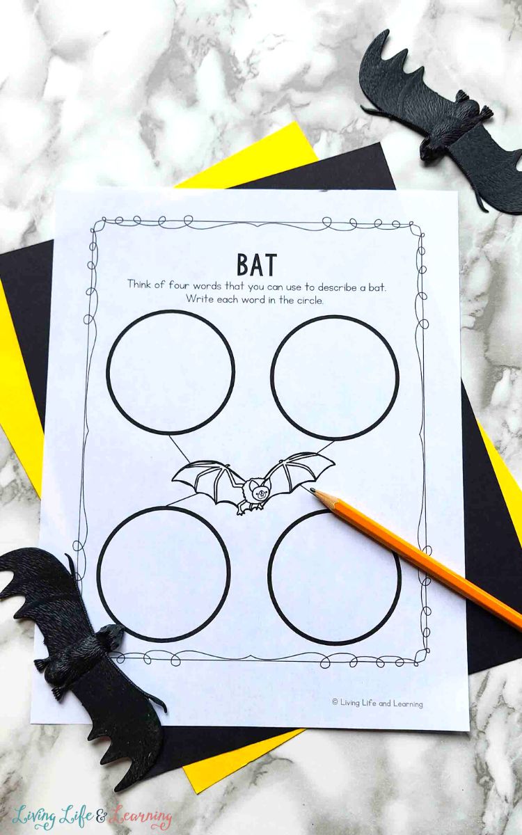 Bat Worksheets for Kindergarten on a table
