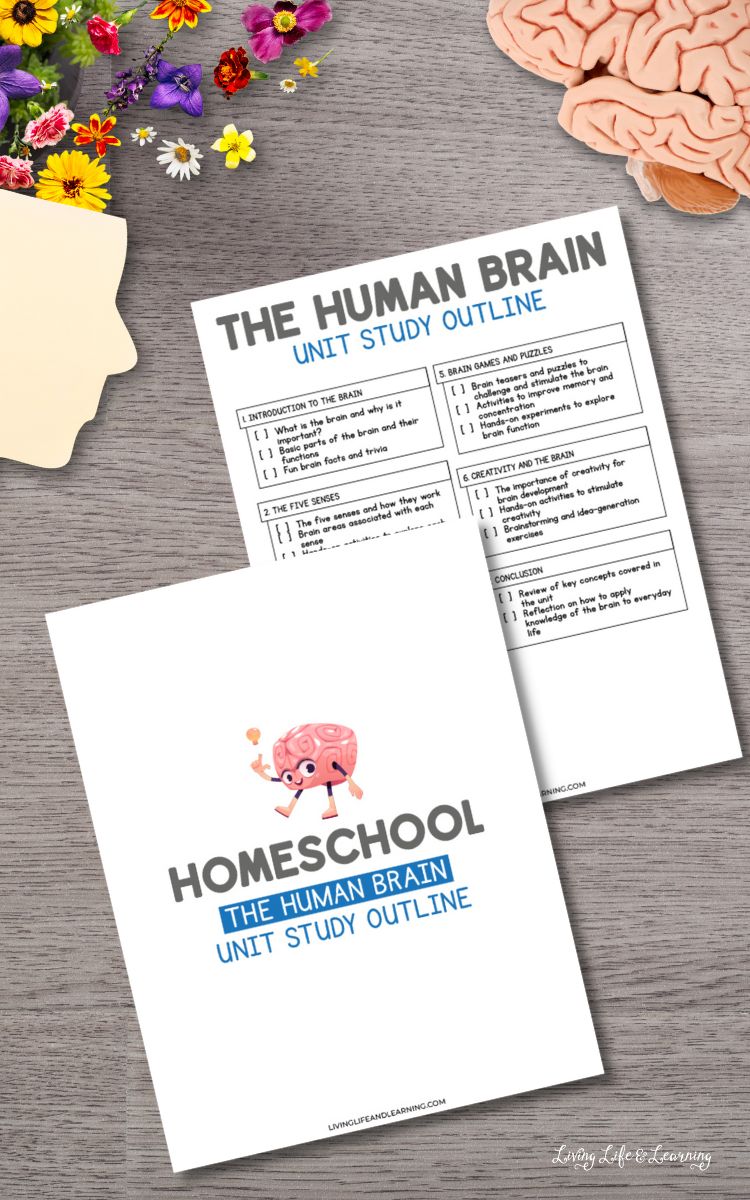 Human Brain Unit Study Resources