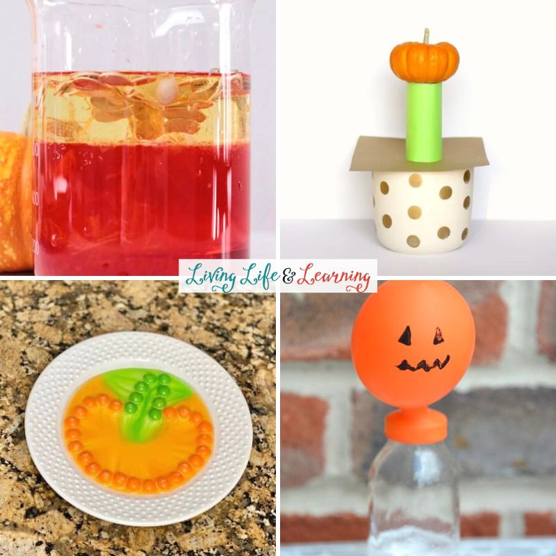 A collage of Pumpkin Science Activities for Preschoolers