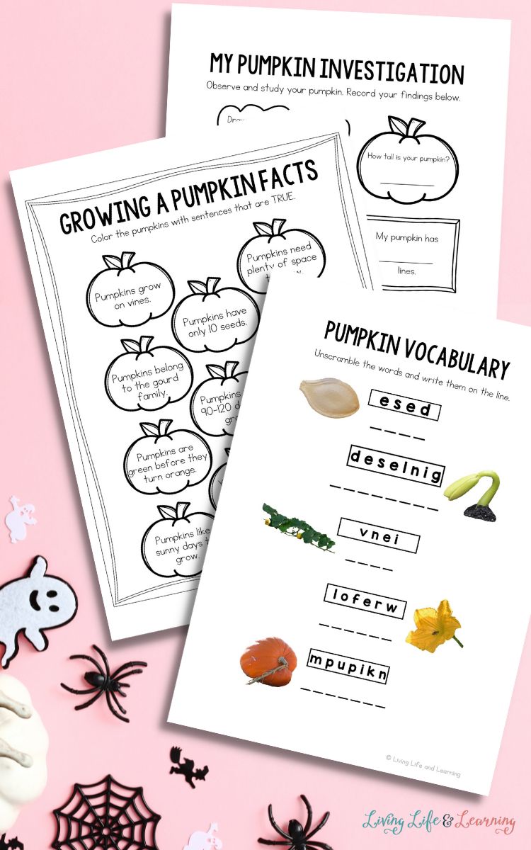 How Do Pumpkins Grow Worksheet
